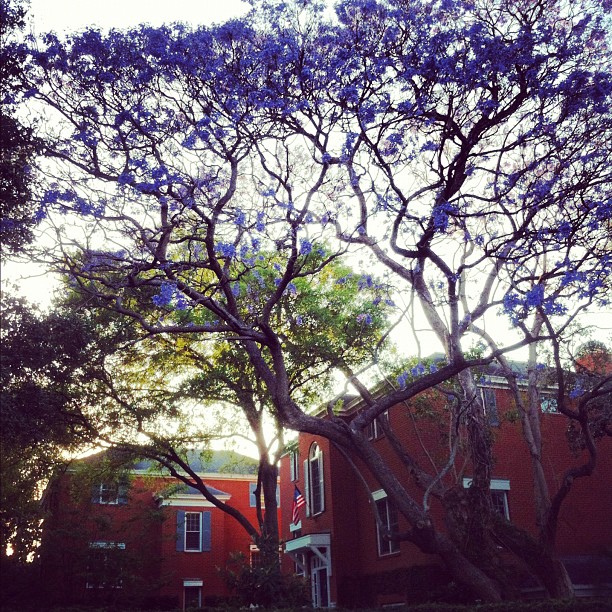 dd233c34810c11e1b9f1123138140926_7