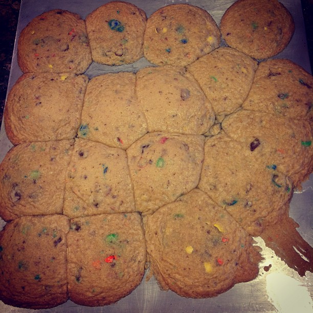 e09d59a6b8db11e1a8761231381b4856_7