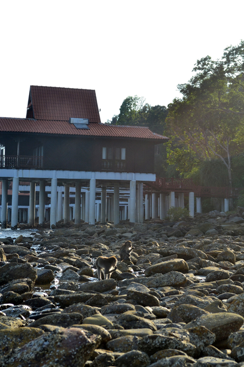 langkawi17