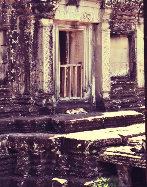 angkor19