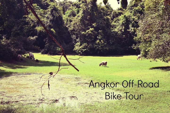 angkor off road bike tour