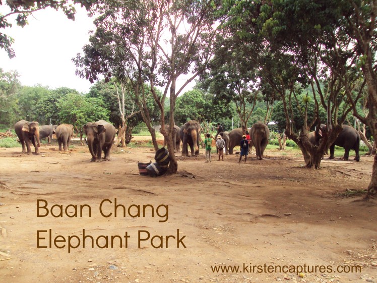 baan chang elephant park