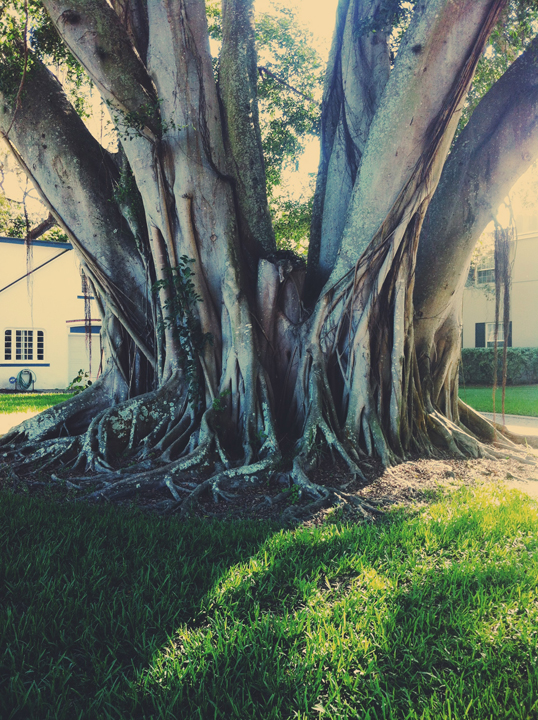 Processed with VSCOcam with f2 preset