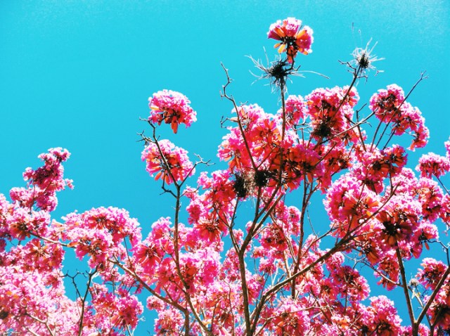 Processed with VSCOcam with c1 preset