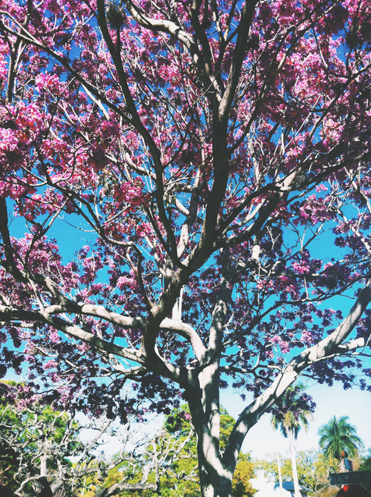 Processed with VSCOcam with c1 preset