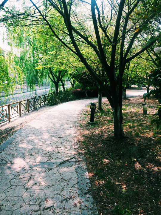 Processed with VSCOcam with c1 preset