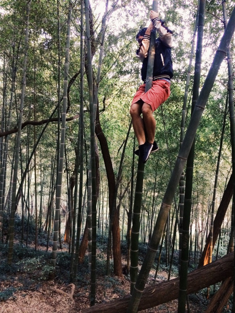 Processed with VSCOcam with g3 preset