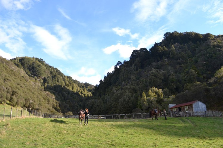 Horseback riding at Blue Duck Lodge in New Zealand