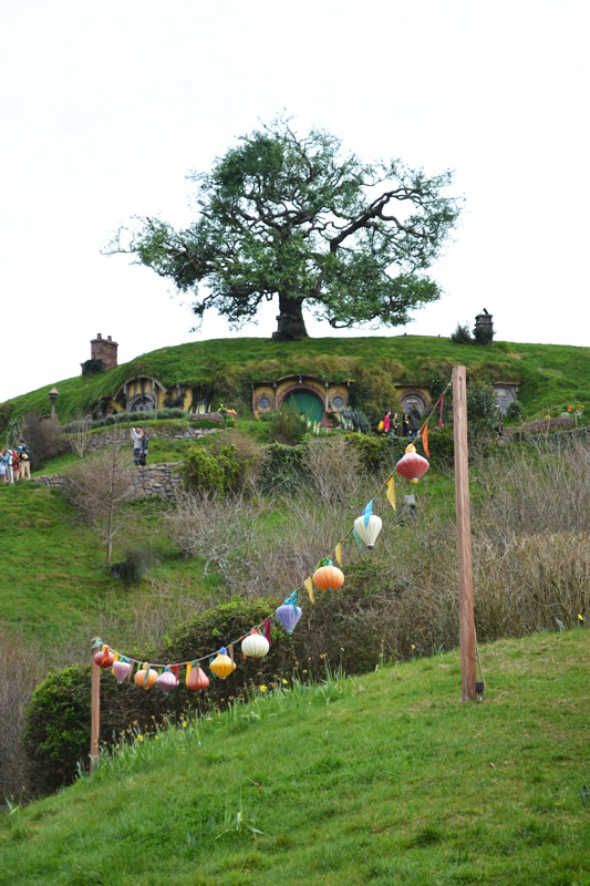 hobbiton21