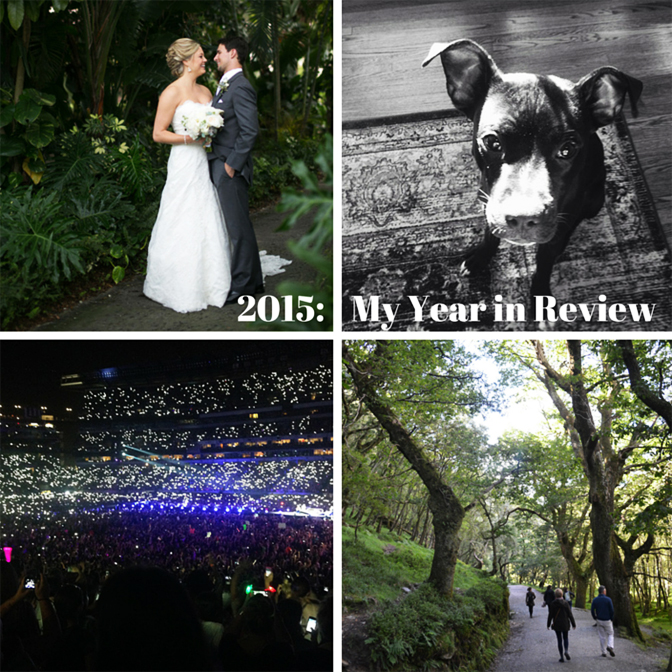 2015- My Year in Review