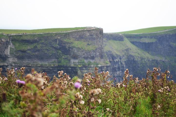 cliffsofmoher8