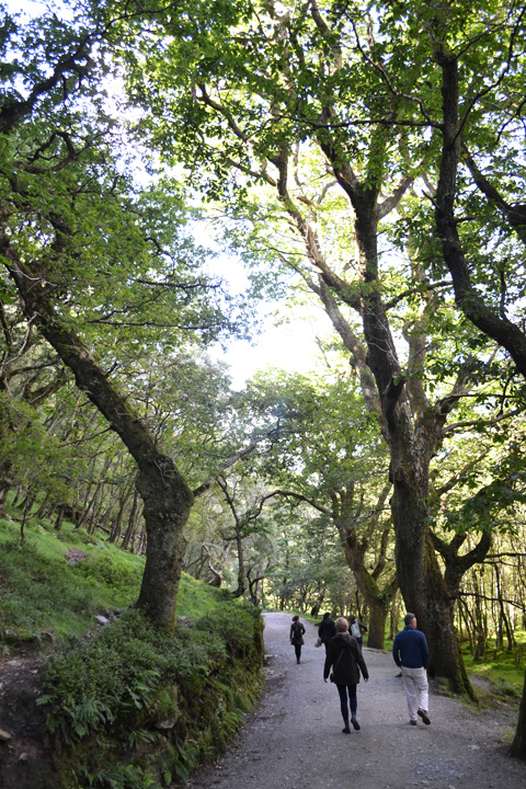 glendalough13