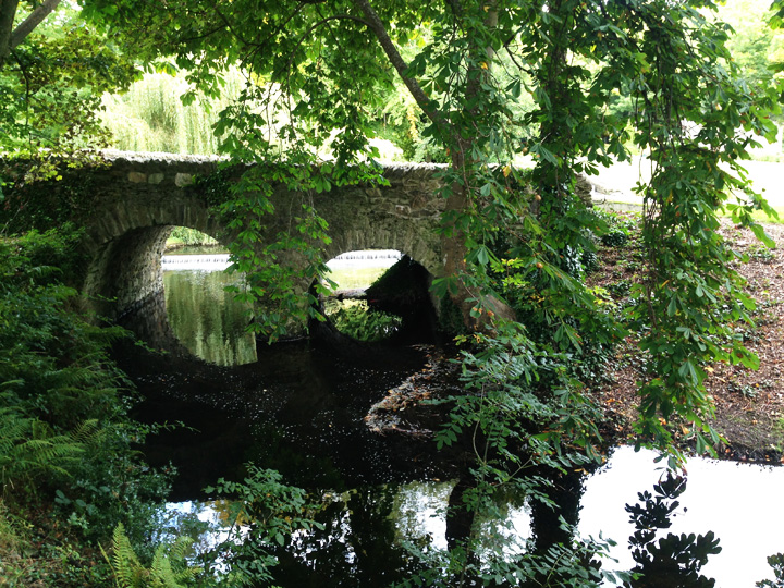 druidsglen1