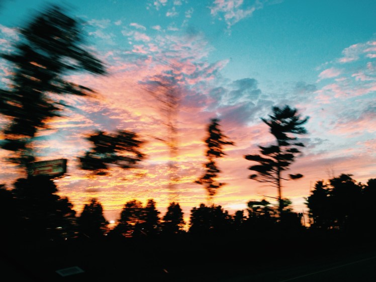 Processed with VSCO with c1 preset