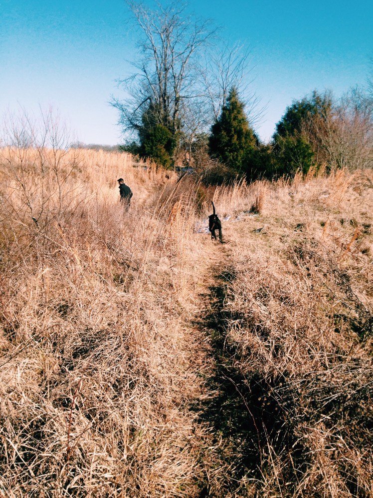 Processed with VSCOcam with c1 preset